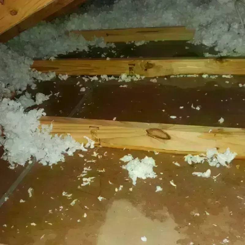 Attic Water Damage in Whitemarsh Island, GA